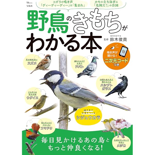 Amazon.co.jp: BIRDER 2023年 10 月号 [雑誌] : Japanese Books
